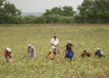 78,000 Farmers Registered Through Bardana Mobile App