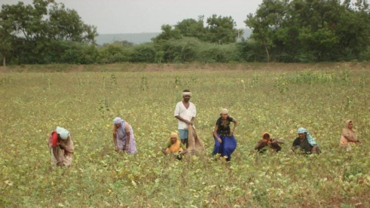 78,000 Farmers Registered Through Bardana Mobile App