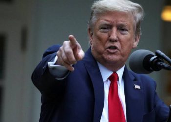 Trump Halts World Health Organization Funding Over Coronavirus