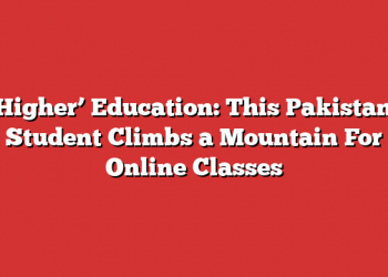 ‘Higher’ Education: This Pakistani Student Climbs a Mountain For Online Classes