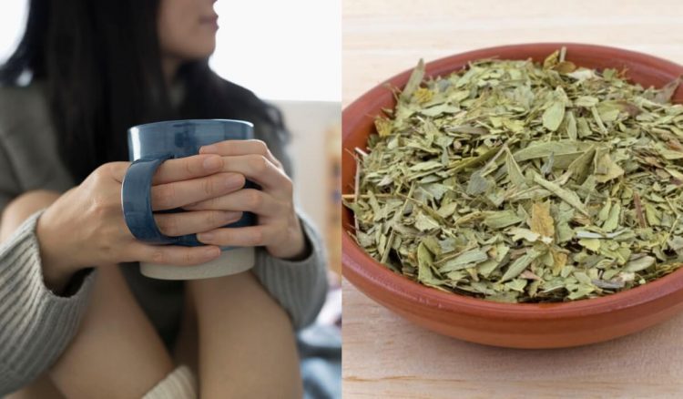 Drinking Sanna Makki To Treat Coronavirus Can Actually Be Very Dangerous. Here’s What Actual Doctors Have To Say