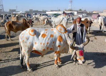 Federal Govt Employees Get Just Three Holidays for Eid-ul-Azha