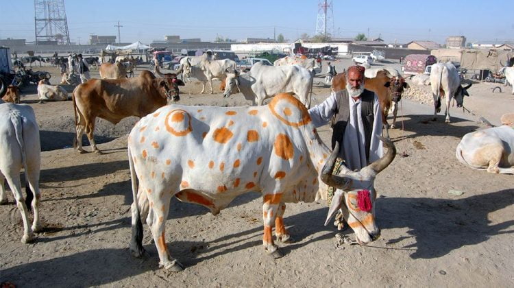 Federal Govt Employees Get Just Three Holidays for Eid-ul-Azha