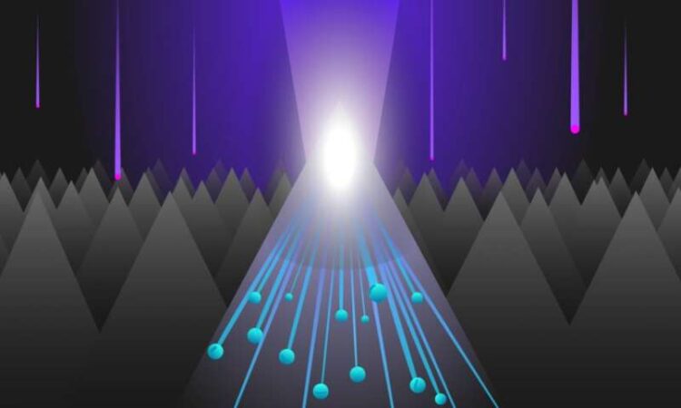 Black Silicon Photodetector