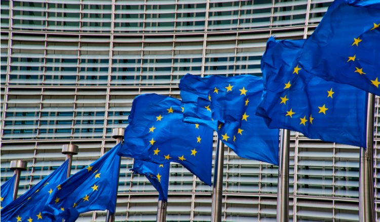 European Union Regulations