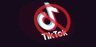 TikTok Was Banned For Unethical and Vulger Content