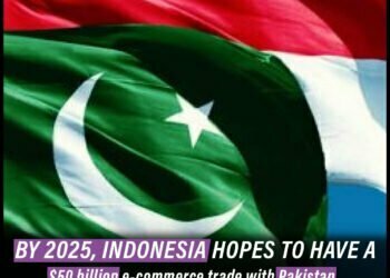 By 2025, Indonesia hopes to have a $50 billion e-commerce trade with Pakistan