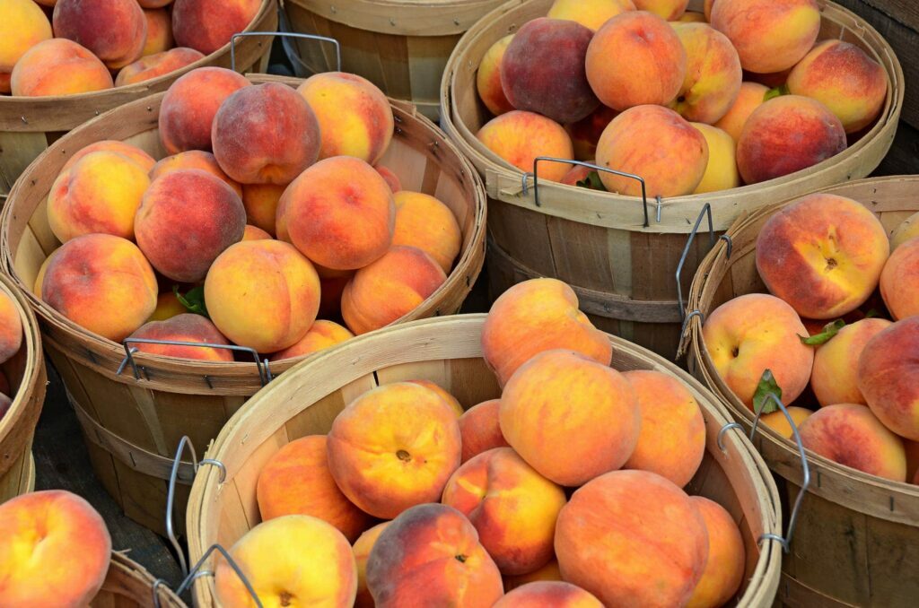 Pakistan is planning to use Chinese technologies to improve organic peach production