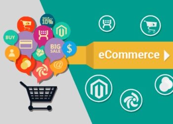Pakistan's first E-Commerce University will be established by the government