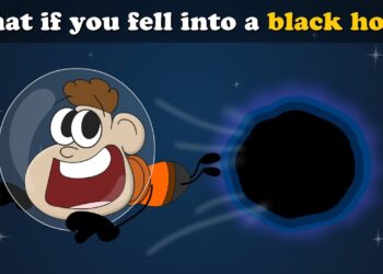 What Happened If You Fall into a Black Hole