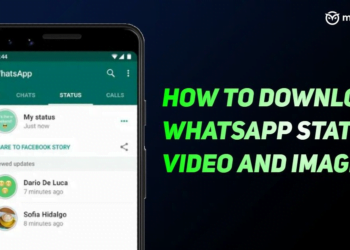 WhatsApp Status Download: How to Download WhatsApp Status Images and Videos Online