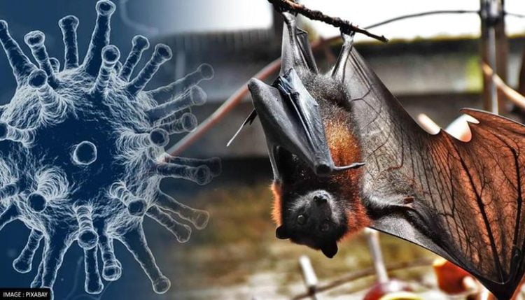 Scientists in Wuhan have discovered 23 times more lethal Coronavirus in bats
