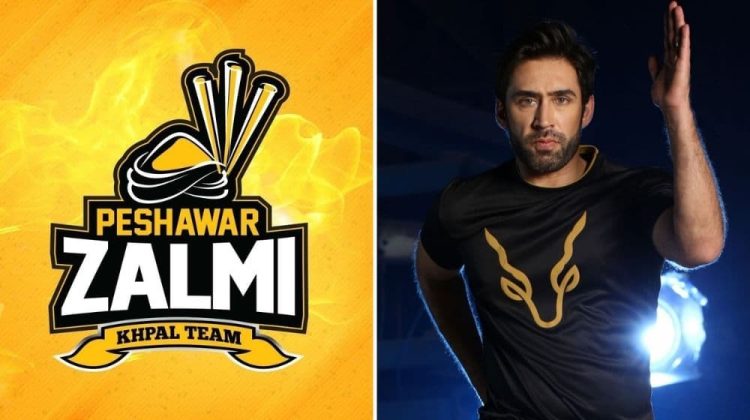 Peshawar Zalmi is accused of stealing an artist's design