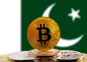 The fate of cryptocurrency in Pakistan will now be decided by SBP Committee