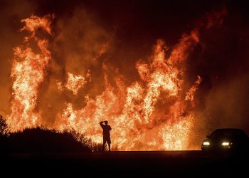 Important steps taken to prevent forest fires in Margalla Hills