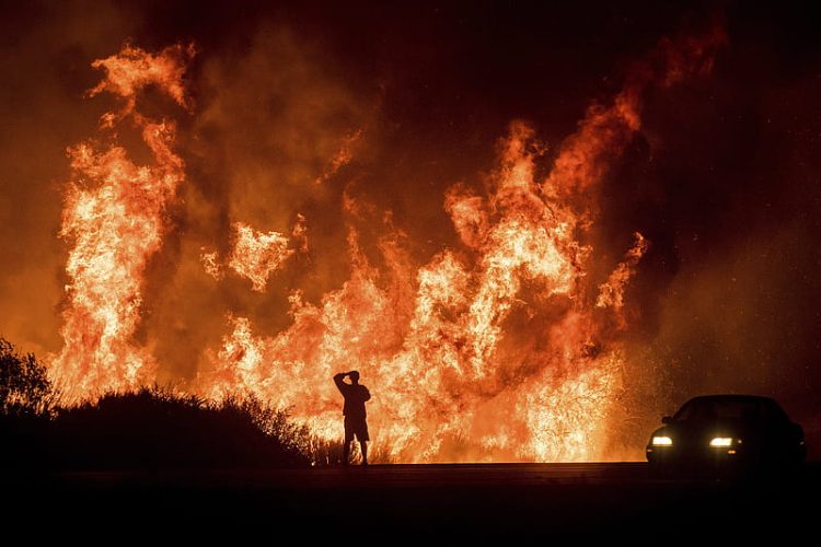 Important steps taken to prevent forest fires in Margalla Hills