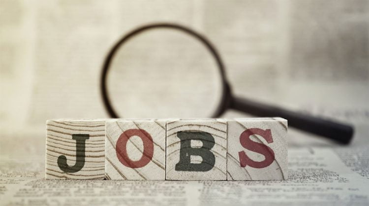 In last 3 years, a huge spike in employment sees in Pakistan