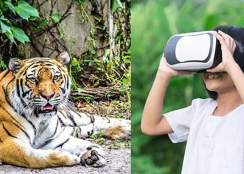 Islamabad will soon have a virtual zoo