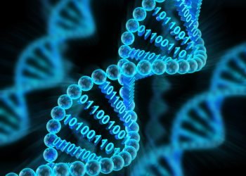 Researchers improve DNA to store massive amounts of data