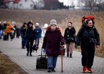 Russia declares partial Ceasefire in Ukraine