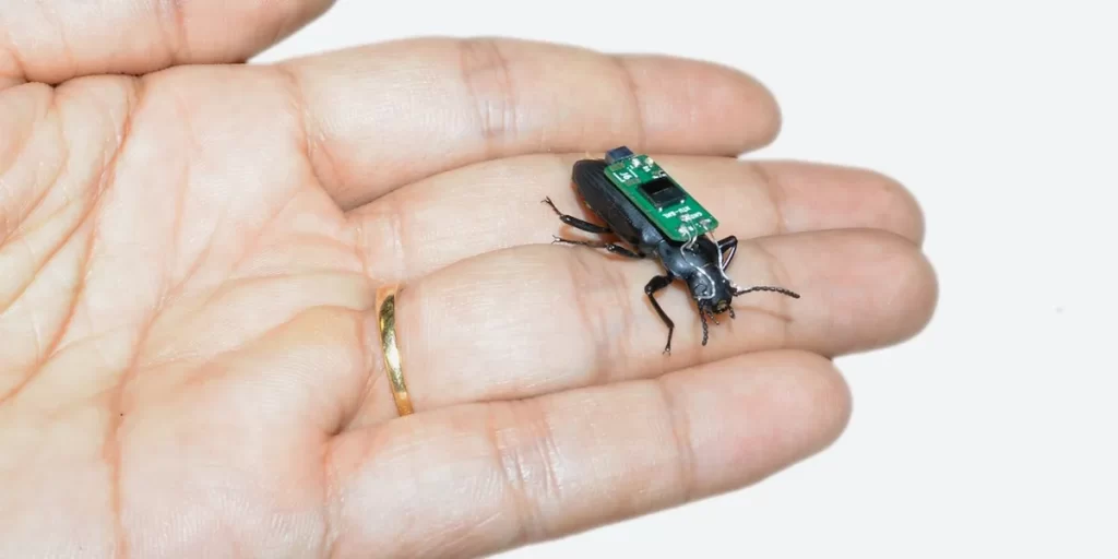 Tiny Robotic bugs can be used for medical emergencies
