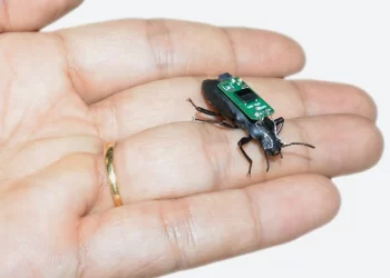 Tiny Robotic bugs can be used for medical emergencies