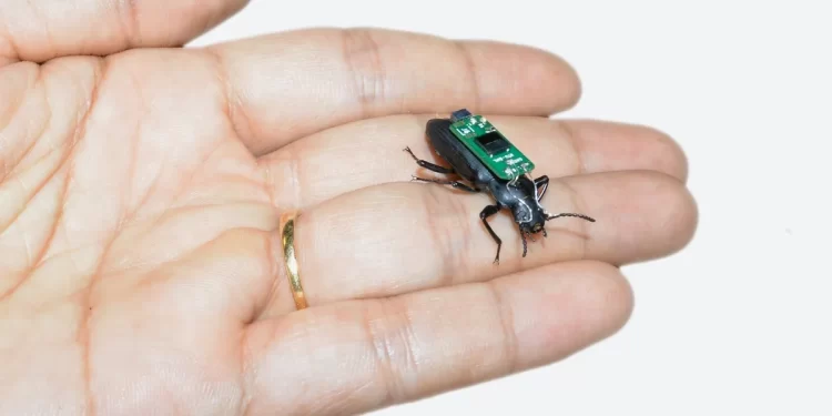 Tiny Robotic bugs can be used for medical emergencies