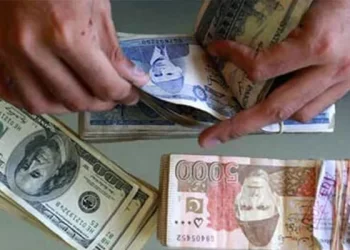 After the World Bank's GDP forecast, rupee's recovery against the dollar has slowed