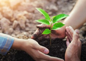Alexa can now plant a tree for you