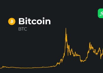 Price of Bitcoin remains steady toward $48,000; Is it time to invest?