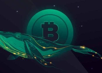 BTC whales buy’s dips in this correction, and returns to above $40,000
