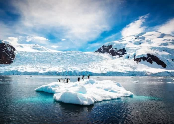 Due to rapidly melting Antarctic ice, global sea levels might rise by 10 feet