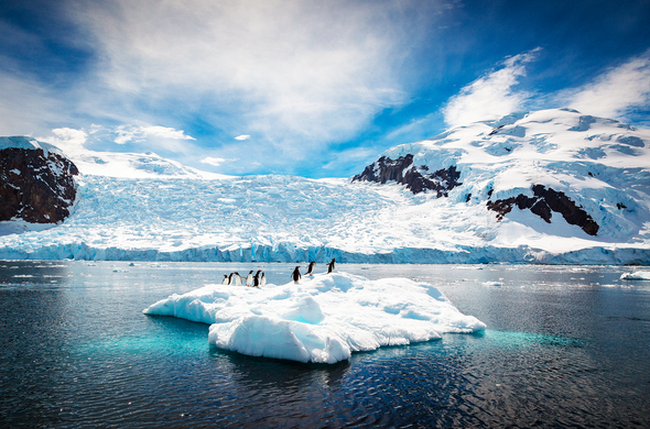 Due to rapidly melting Antarctic ice, global sea levels might rise by 10 feet
