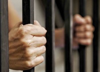 FIA has arrested 12 persons for allegedly slandering Pak Army online