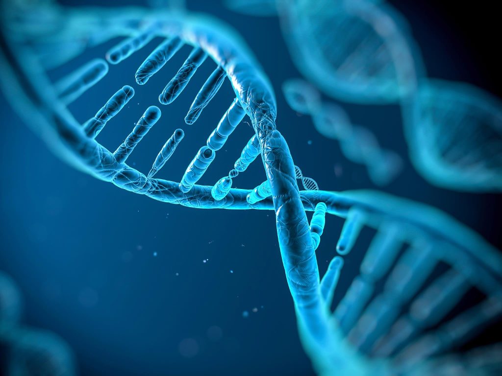 First complete human genome is mapped by scientists