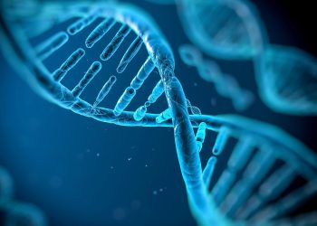 First complete human genome is mapped by scientists