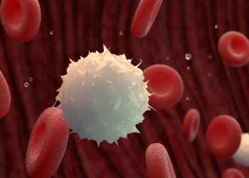 First comprehensive map of human blood stem cell development created by scientists