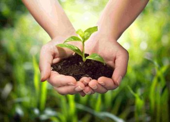 Record 50bn USD Agricultural exports done by India in FY 2021-22