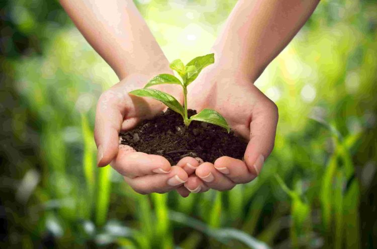 Record 50bn USD Agricultural exports done by India in FY 2021-22