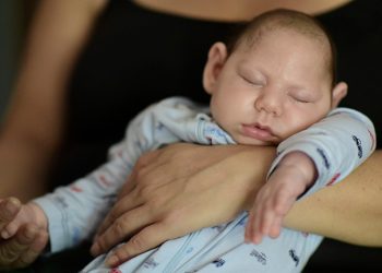 Researchers believe the Zika virus could be the next pandemic