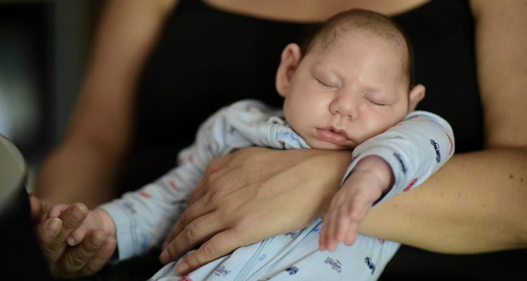 Researchers believe the Zika virus could be the next pandemic