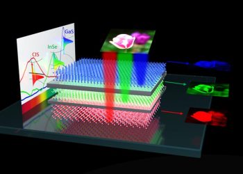 Researchers taking steps toward building "electronic sight"