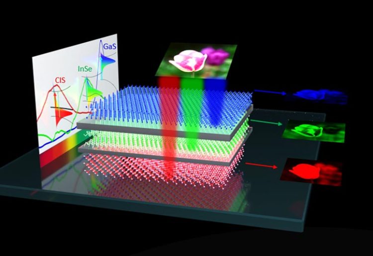 Researchers taking steps toward building "electronic sight"