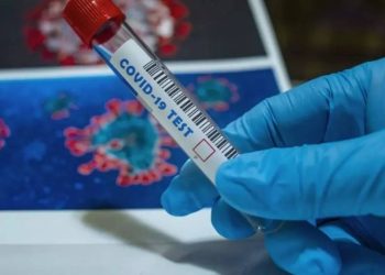 Using nanoparticles, a more sensitive and long-lasting COVID-19 test