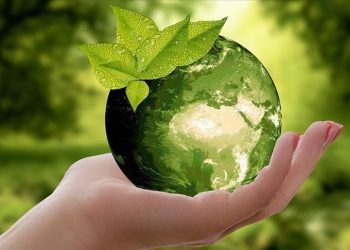 WHO declares a green recovery from COVID-19 urgently required