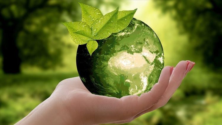 WHO declares a green recovery from COVID-19 urgently required