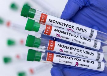 According to WHO, monkeypox poses a mild risk to public health