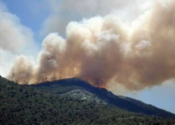 Chilgoza woodland in Balochistan is burning for the 12th day