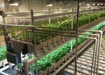 Farmers can now have both financial and electronic storage for their produce
