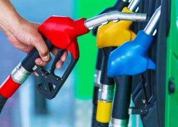 Government keeps petroleum prices unchanged till the next decision